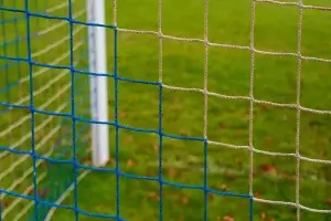 Blue and white goal net